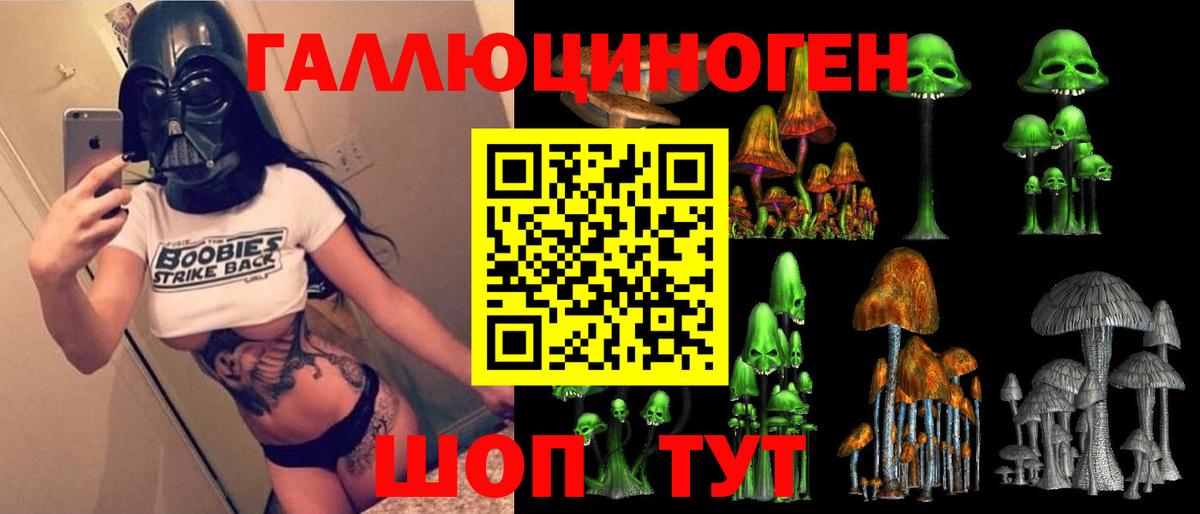Псилоцибиновые грибы GOLDEN TEACHER Карпинск